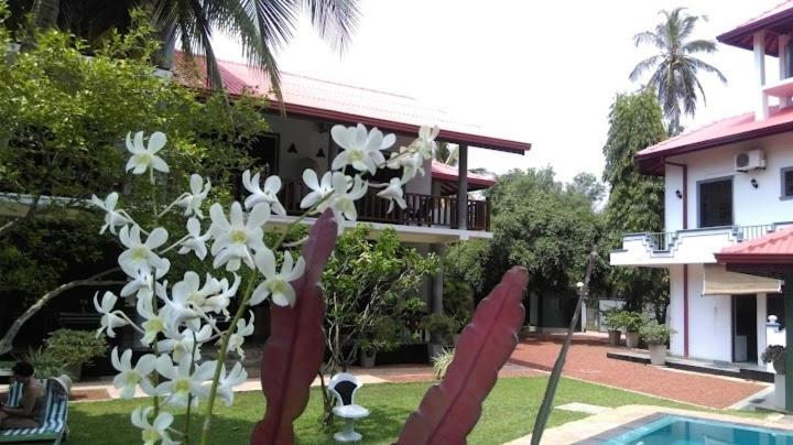 בנטוטה Canal Villa מראה חיצוני תמונה